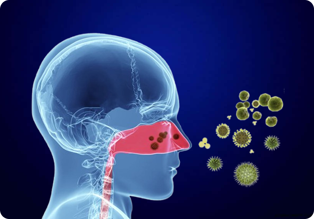 antibiotic & other osheeka pharmaceuticals